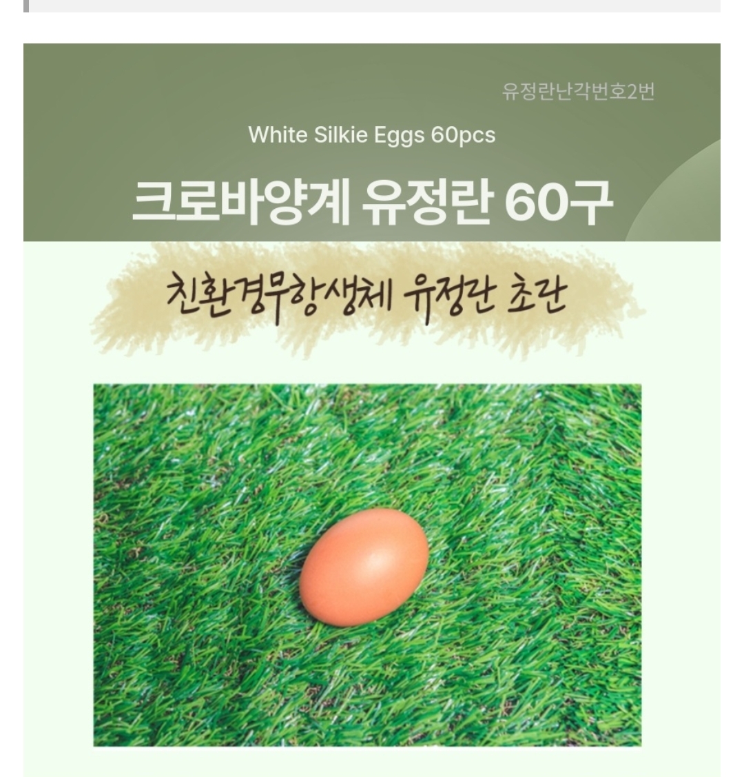 d56babd7640e5b56585e871363ccd4a6_1754307738_8594.jpg