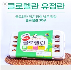 크로렐라 유정란