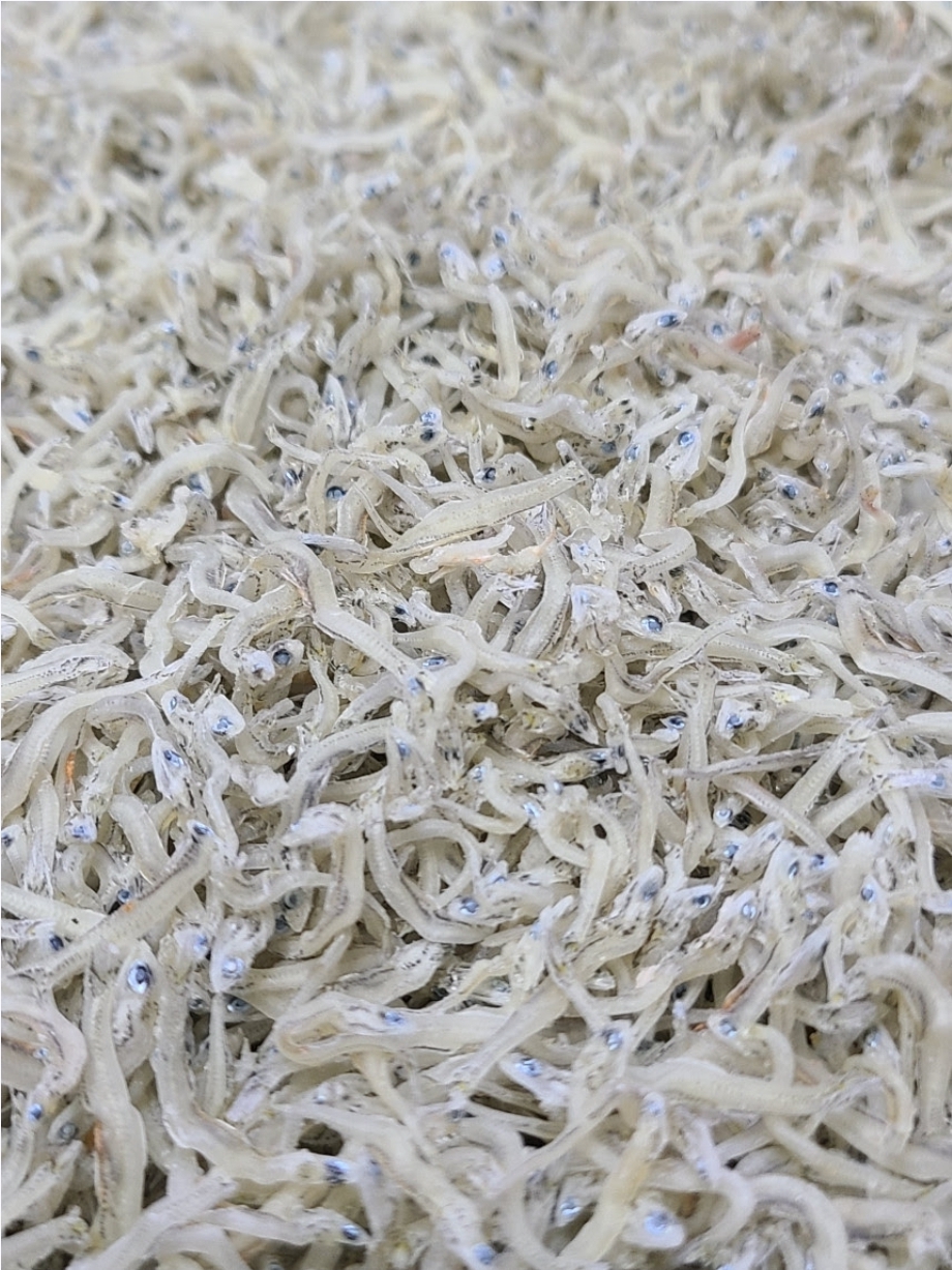 밥도둑 지리멸치 1.5kg(국산:여수시)